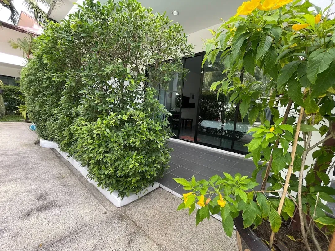 Terrace/patio