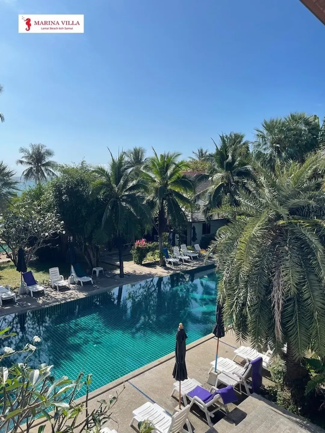 View from room
