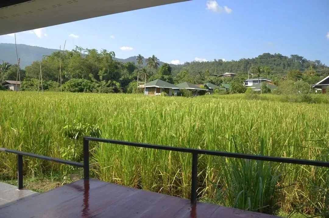 View from room