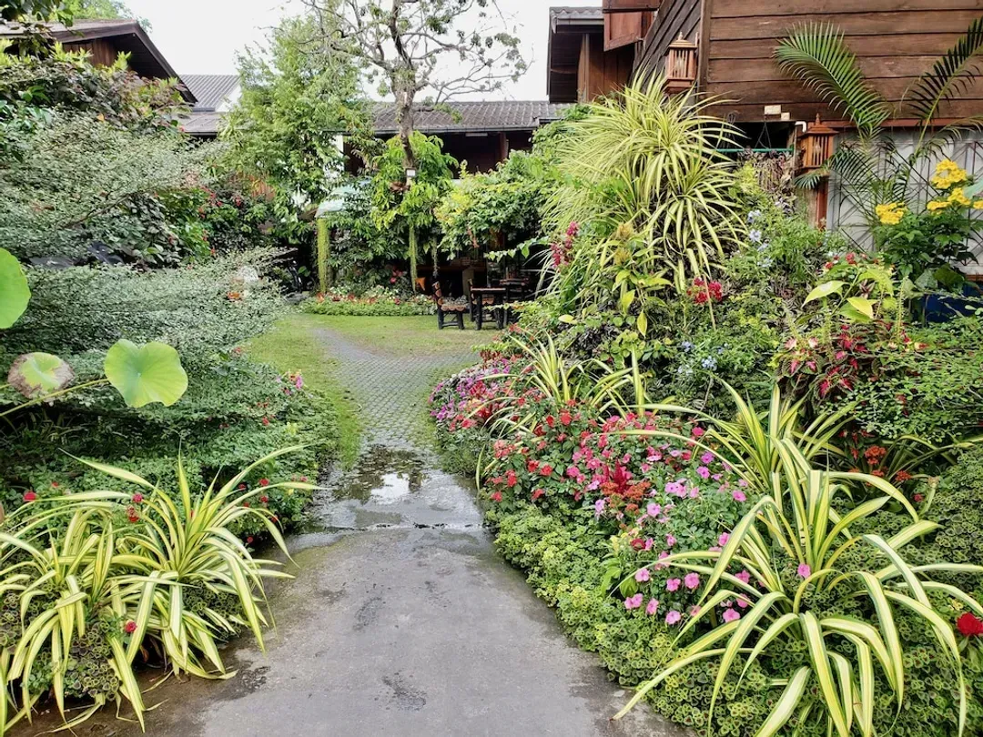 Garden