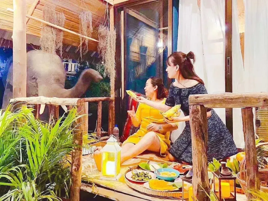 In-room dining