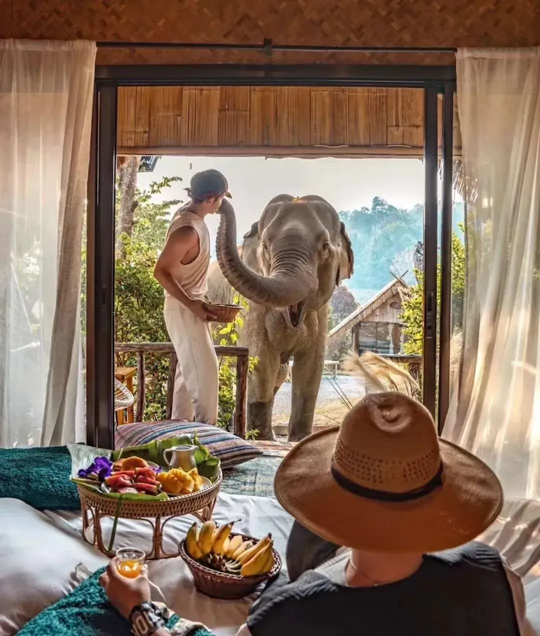 In-room dining