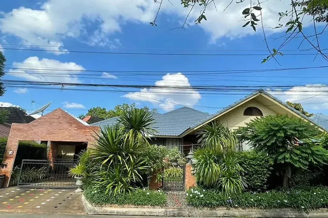 Primary image