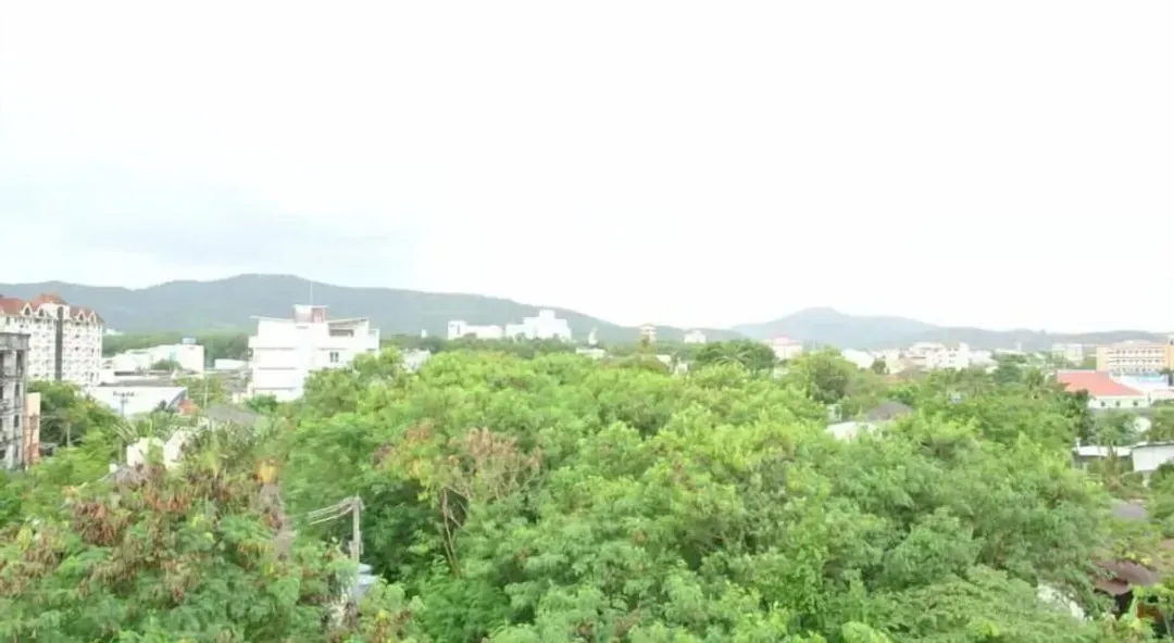 View from room