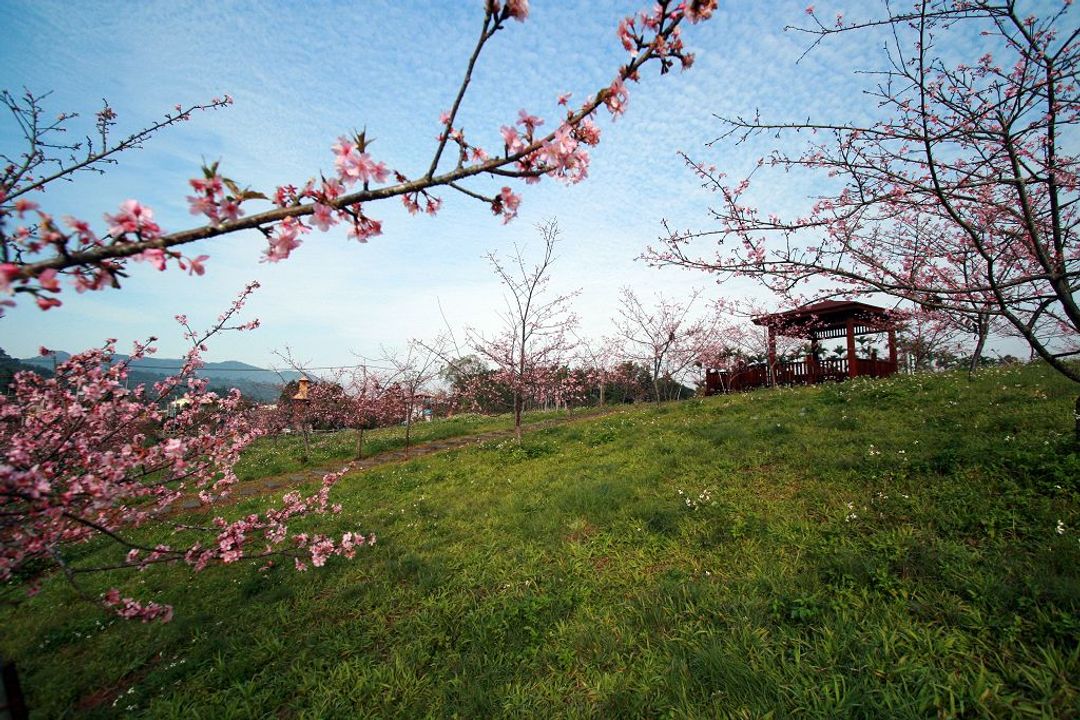 훙양 파스토럴 홈스 (Hong Yang Pastoral Homes) l 독채 숙소-4
