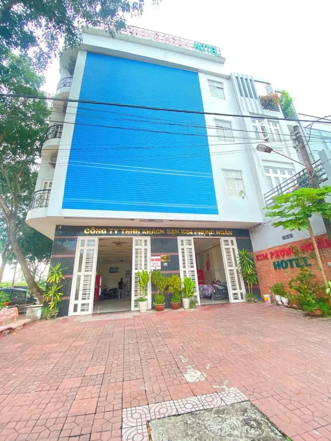 Primary image