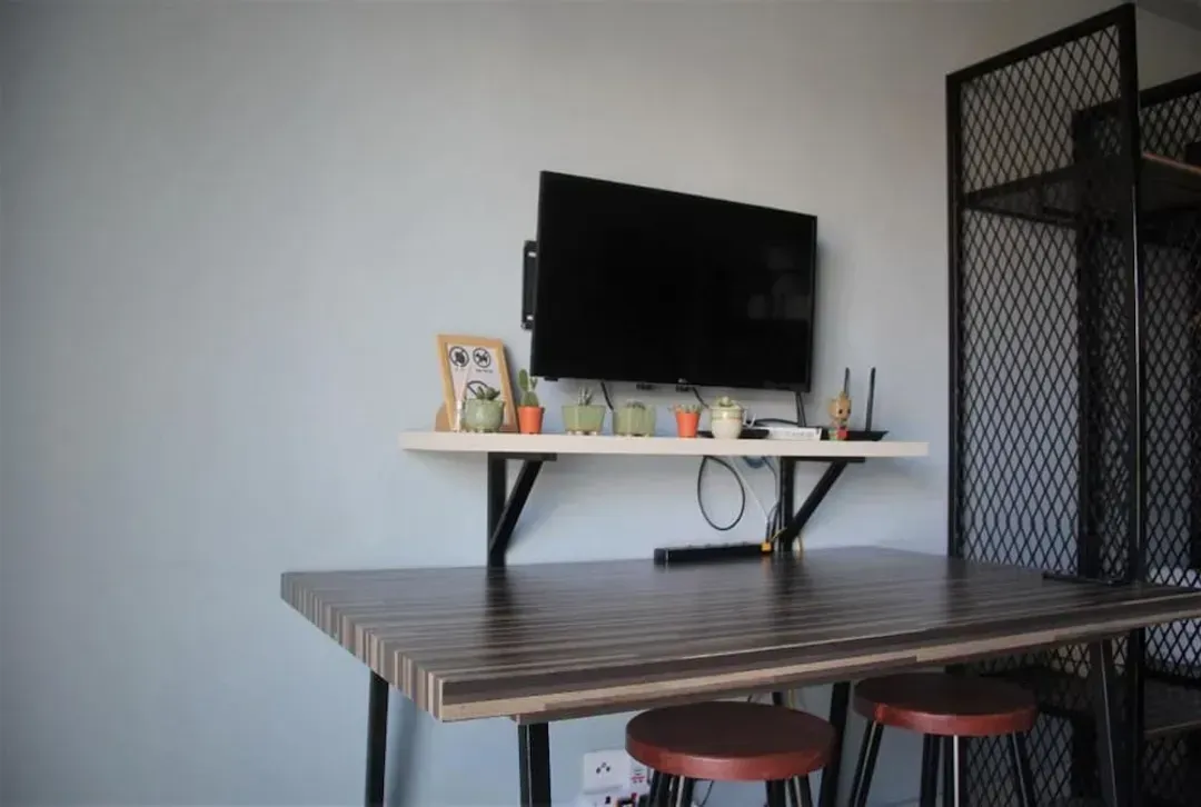 Television