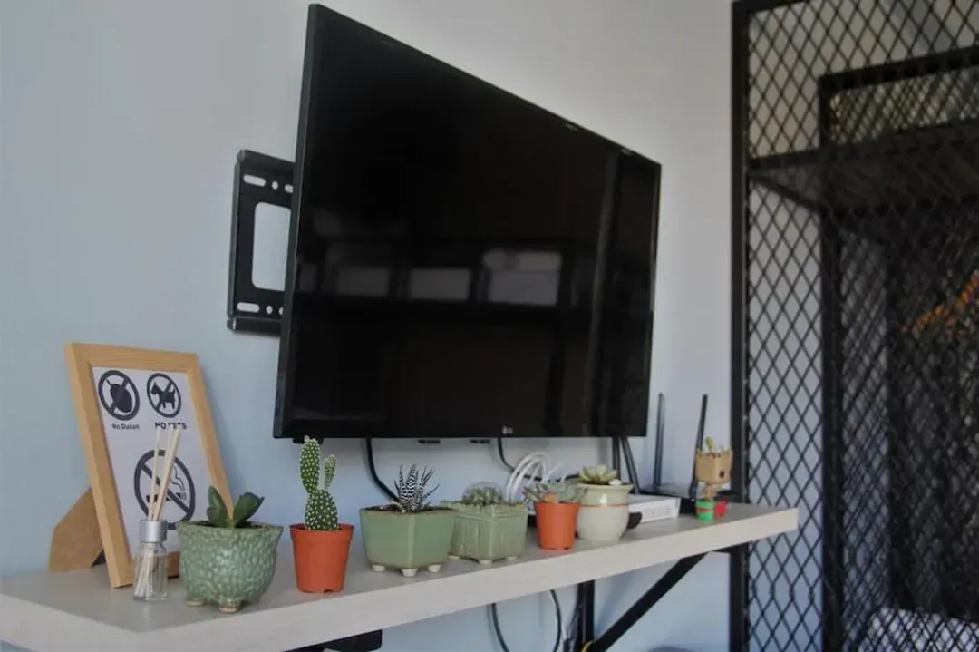 Television