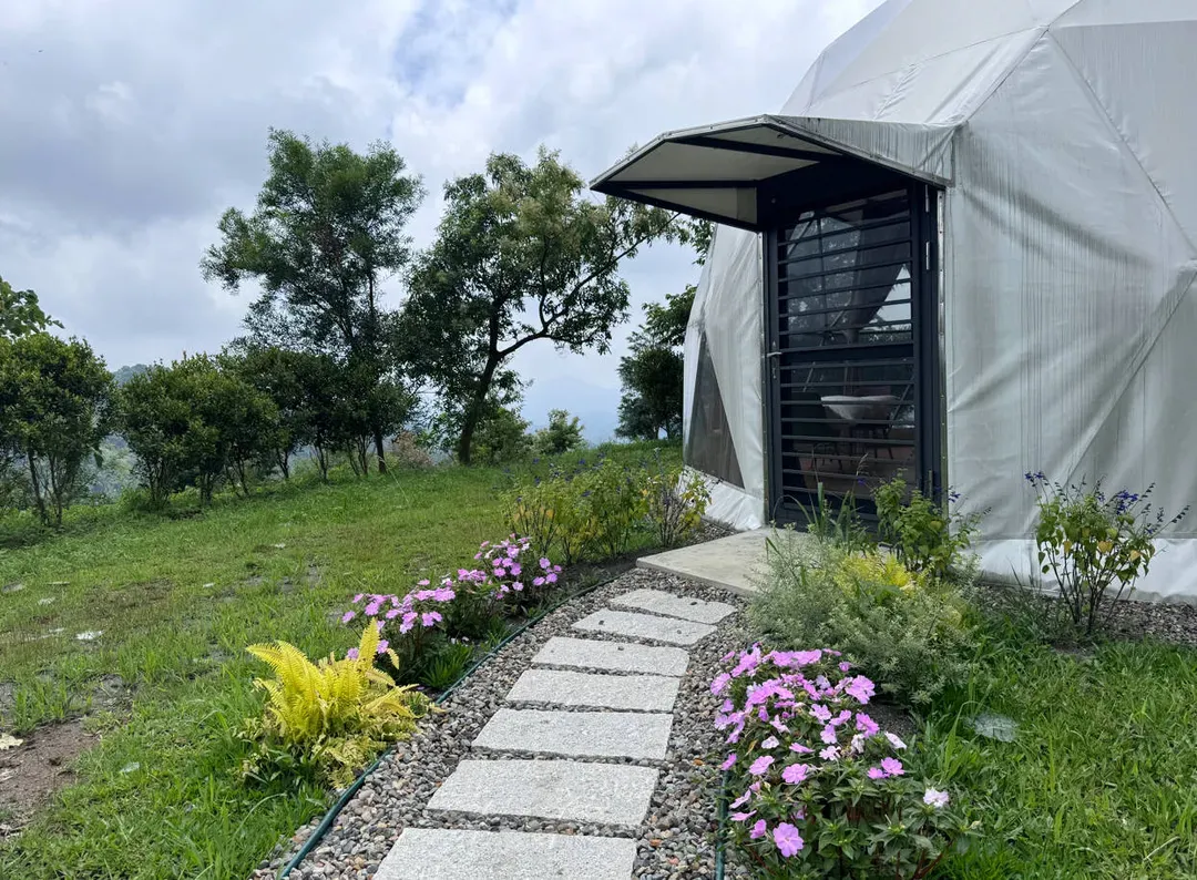 Life in the mountain