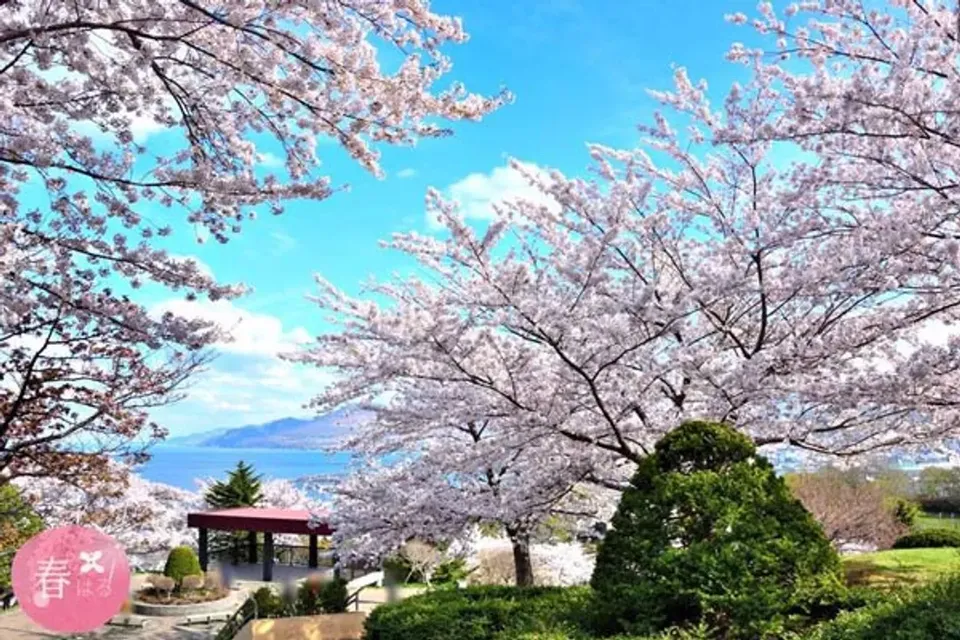 北海道櫻繽紛～小樽函館山、夏日花火會、綠之風渡假村、七大蟹海鮮百匯五日-4