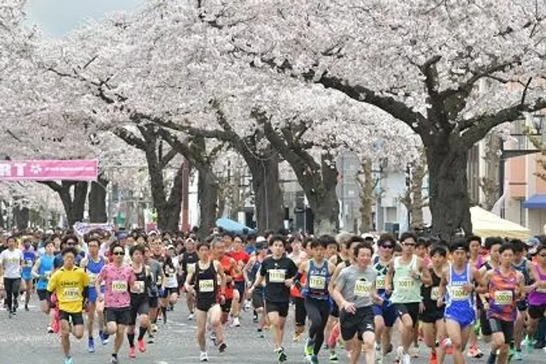 【2026日立櫻花馬拉松】參賽權＋超值精選2晚住宿-8