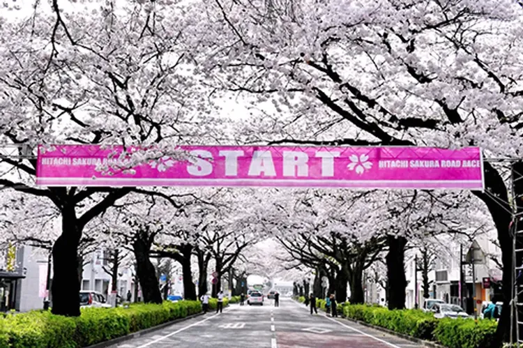 行程簡介-day-2