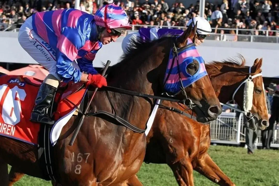 Quest Ascot-16
