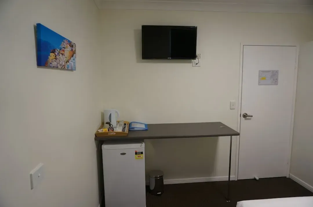 Mini-refrigerator