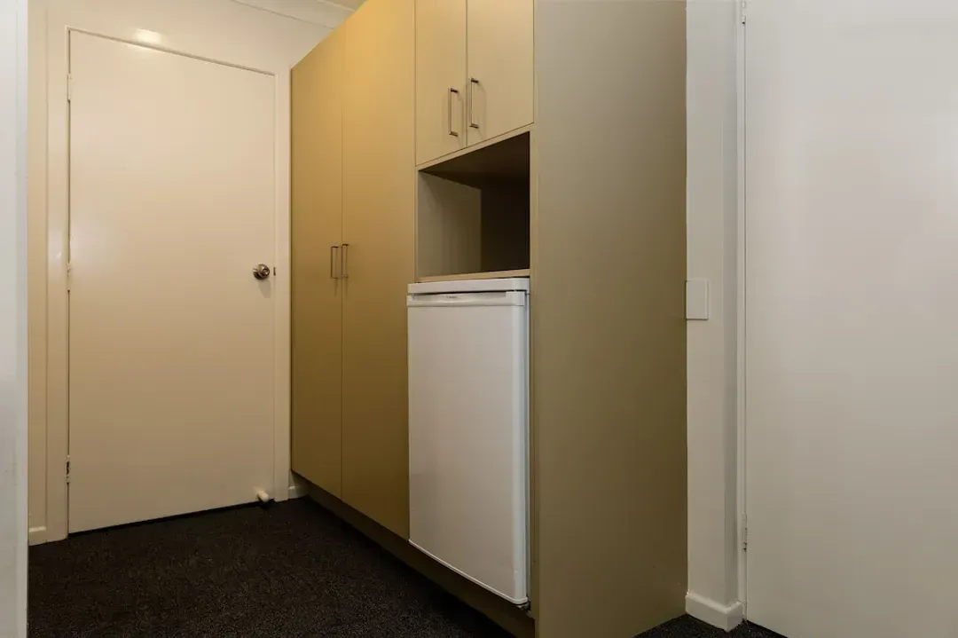 Mini-refrigerator
