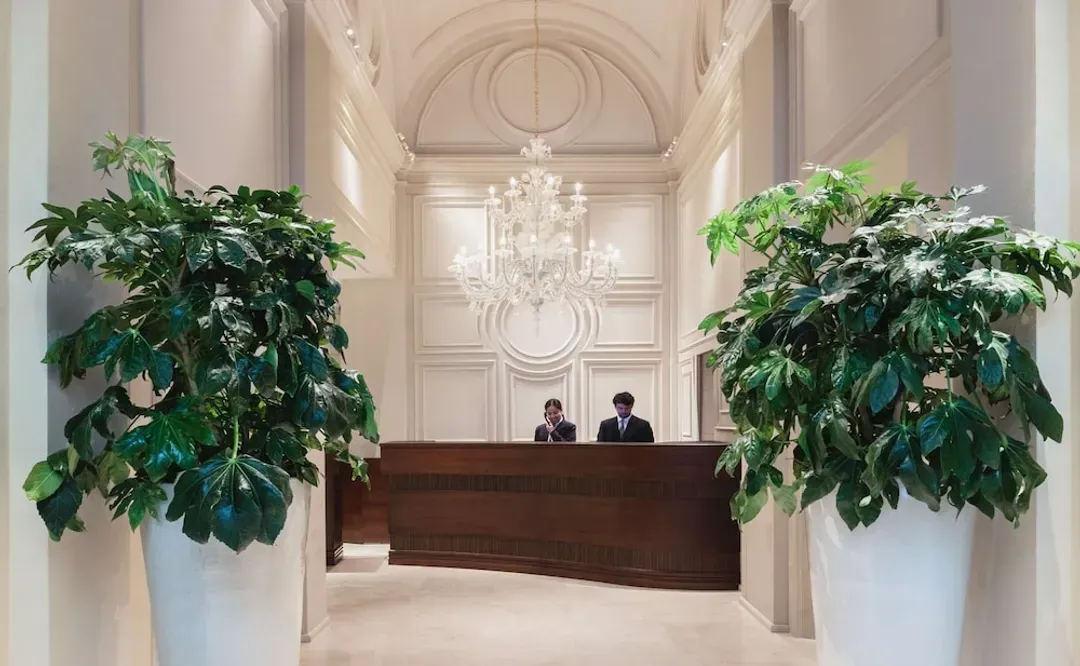 Reception
