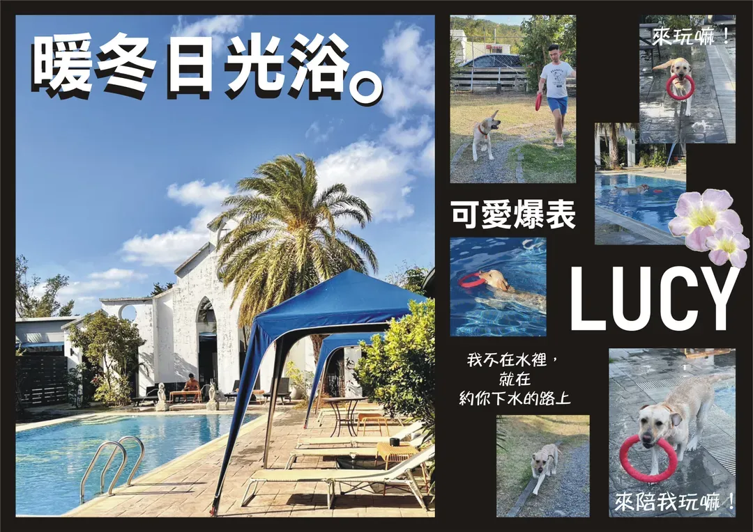 寵愛月台 寵物泳池民宿｜以狗狗為出發點而設計的民宿-6