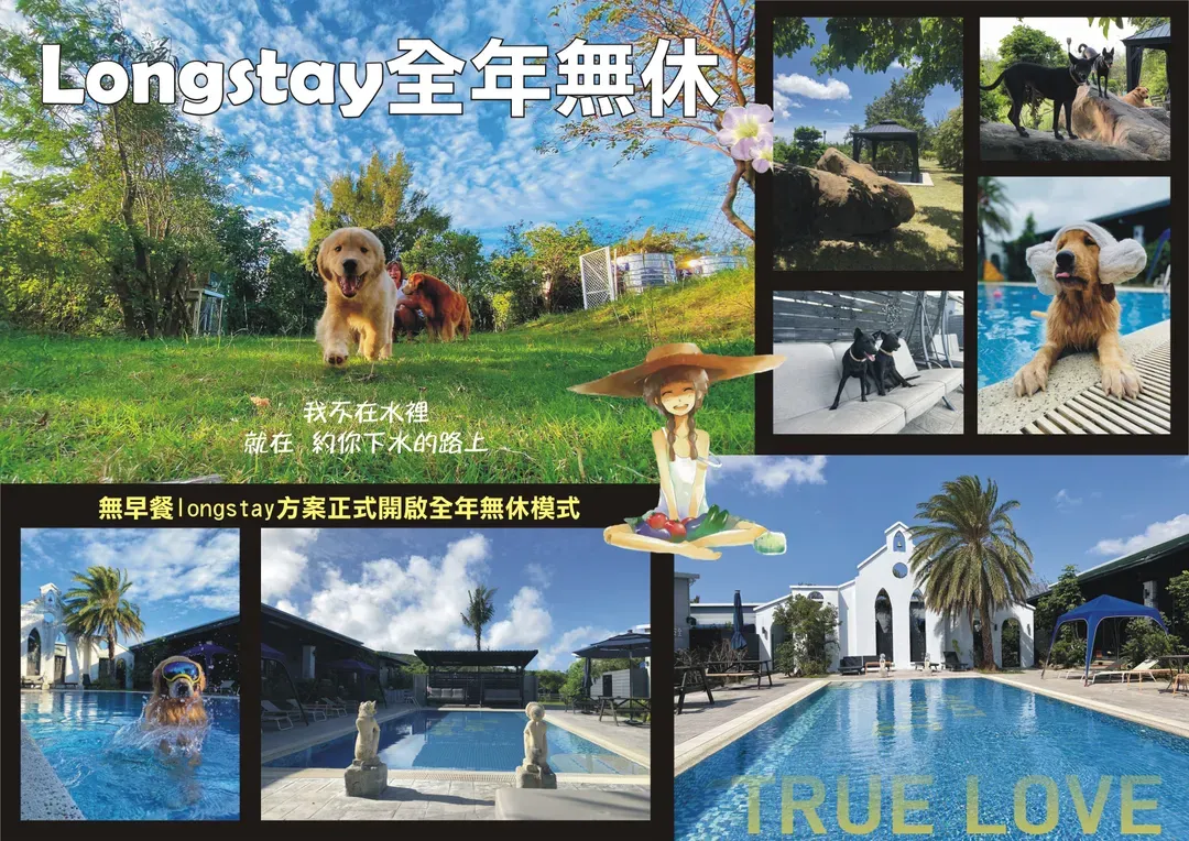 寵愛月台 寵物泳池民宿｜以狗狗為出發點而設計的民宿-7