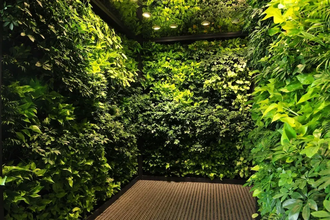 Interior entrance