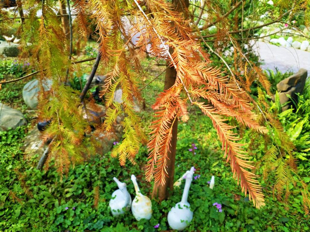 四季變換自然景觀