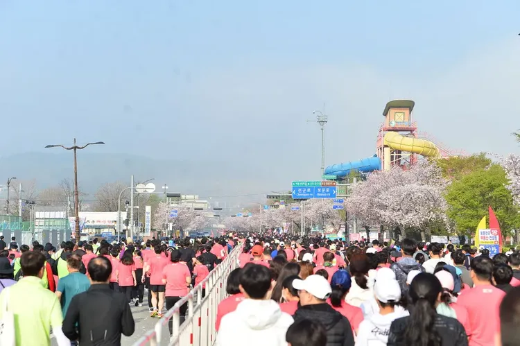 行程簡介-overview