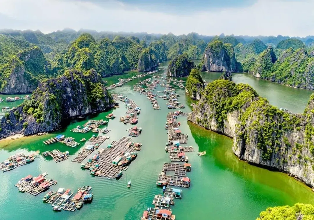 Ambassador Signature Cruise (Lan Hạ)國賓蘭夏灣大使簽名郵輪