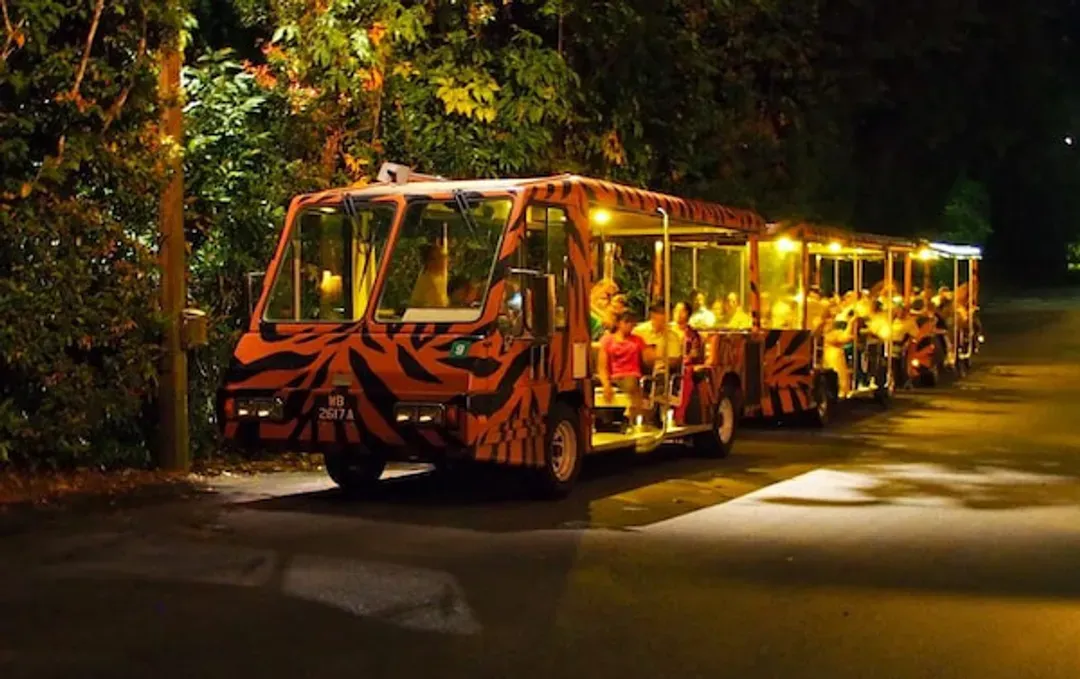 新加坡夜間動物園(含遊園車)