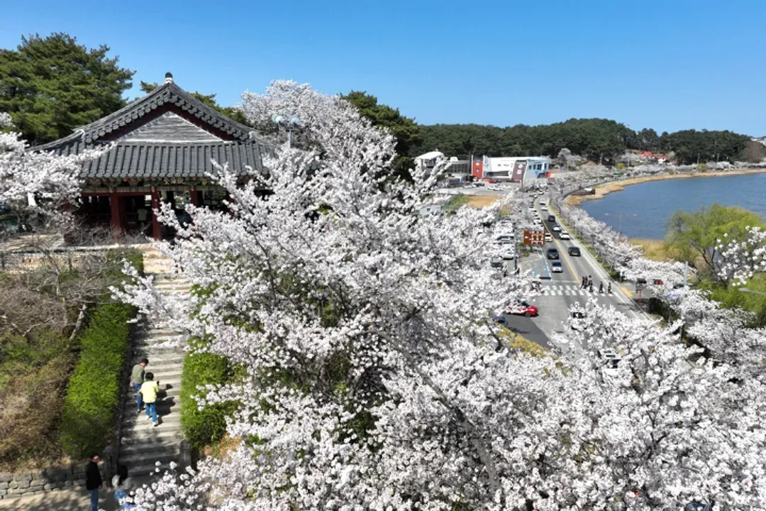 鏡浦臺