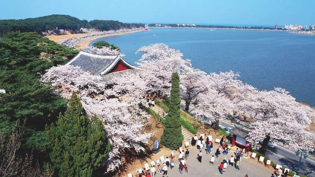 鏡浦臺