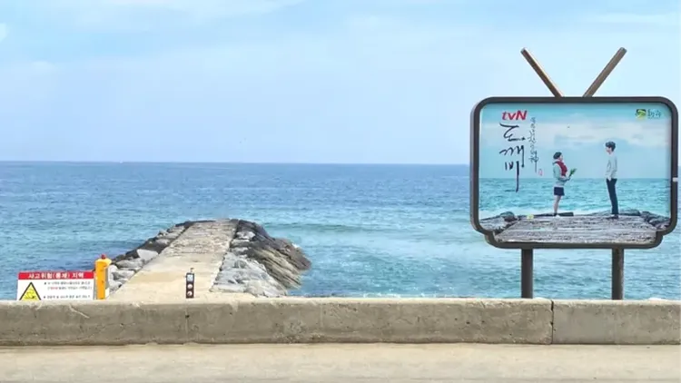 行程簡介-overview