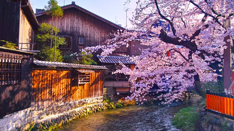 【櫻花季限定-京都一日遊】京都伏見十石舟&七古川賞櫻一日遊｜大阪/京都出發-7
