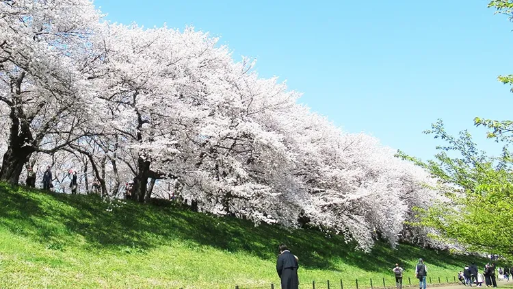 行程簡介-overview