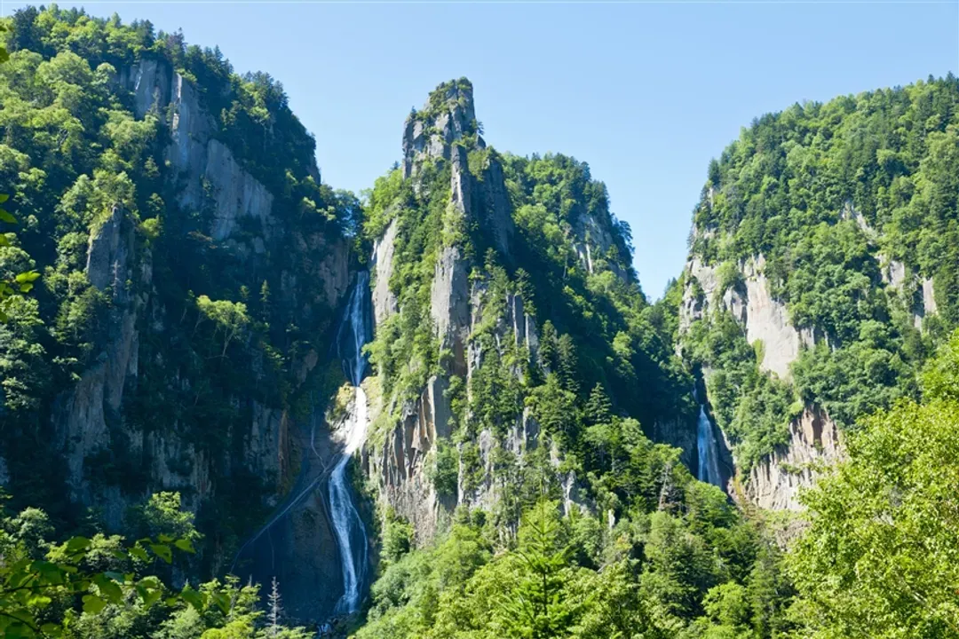 玩跳島北海道旅遊｜利尻島.禮文島.最北宗谷岬.名寄花田.馴鹿牧場.旭山動物園.三大蟹美食七日-5