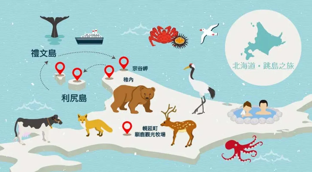 玩跳島北海道旅遊｜利尻島.禮文島.最北宗谷岬.名寄花田.馴鹿牧場.旭山動物園.三大蟹美食七日-6