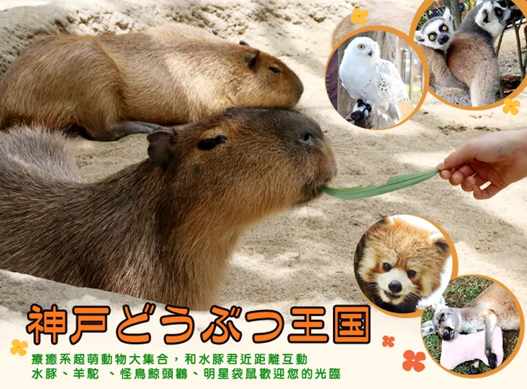 undefined-1