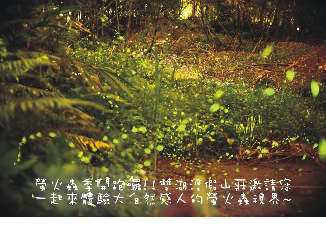 雙湖渡假山莊 l 釣魚、螢火蟲、烤肉、卡拉ok