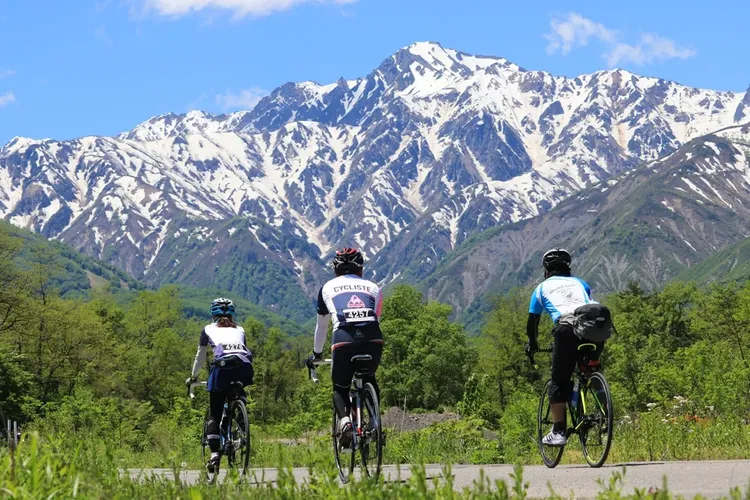 行程簡介-overview