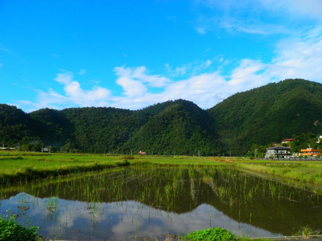 凤凰宿甲虫生态民宿