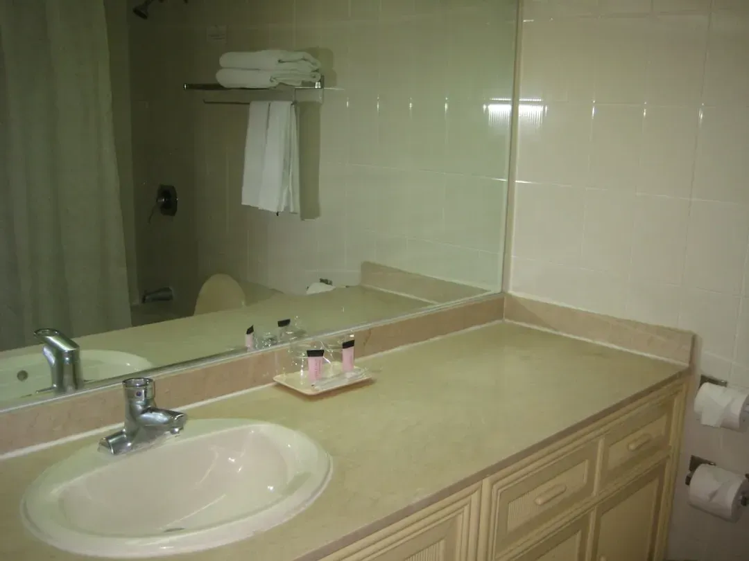 Bathroom sink