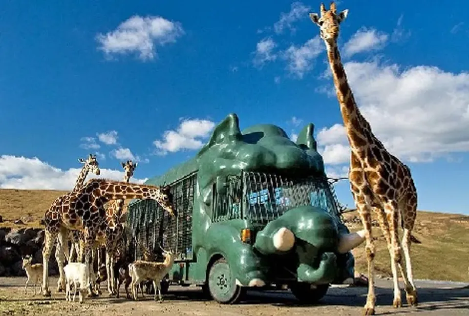 日本跟團，九州跟團，【九州親子探險趣5日】叢林巴士、海之中道海生館、別府纜車、柳川搖船、九重夢大橋[含稅]