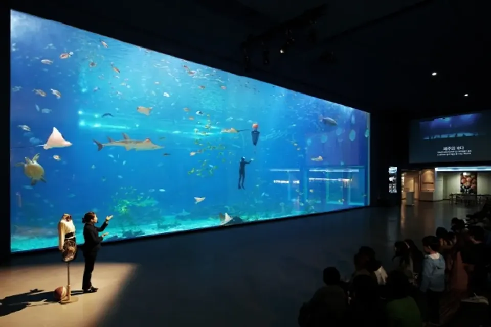 濟州水上星球(AQUA PLANET)水族館-AQUA PLANET水族館