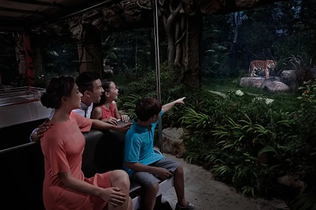 新加坡夜間動物園(含遊園車)