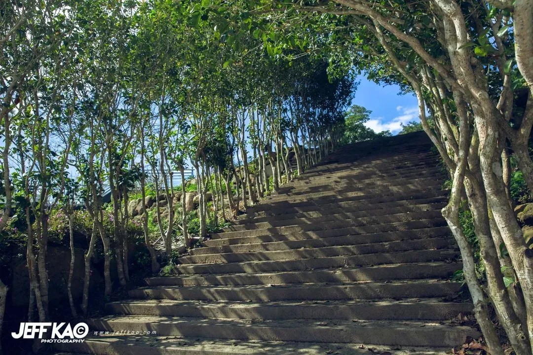 啊露吧Camping聖地 |  螢火蟲、銀河、落羽松超美風景-11