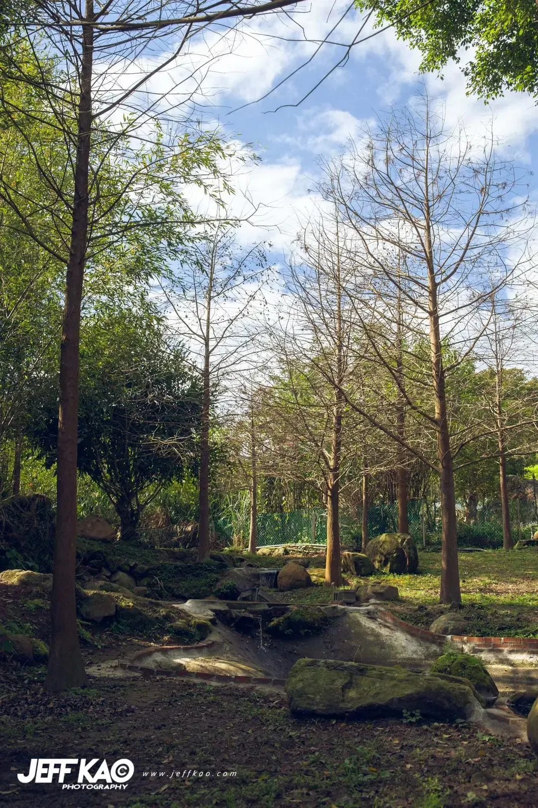 啊露吧Camping聖地 |  螢火蟲、銀河、落羽松超美風景-9