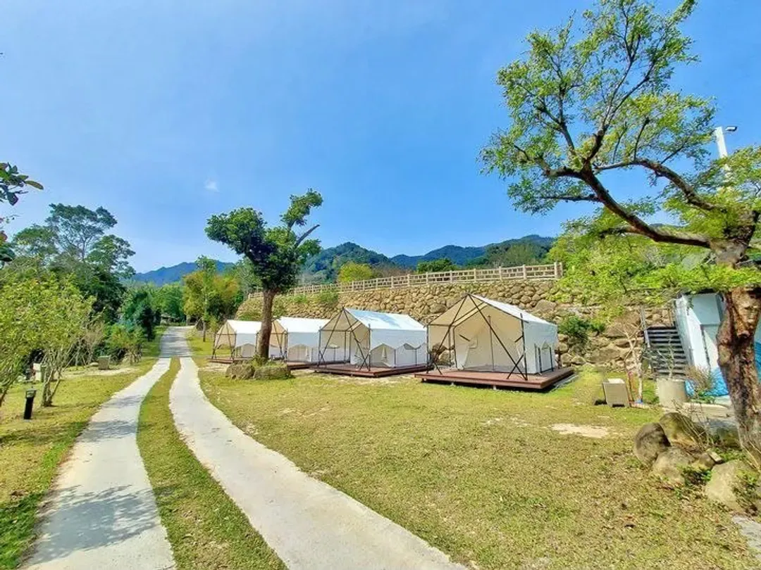啊露吧Camping聖地 |  螢火蟲、銀河、落羽松超美風景-2