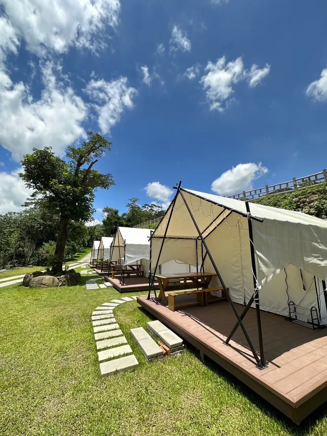 啊露吧Camping聖地 |  螢火蟲、銀河、落羽松超美風景-1