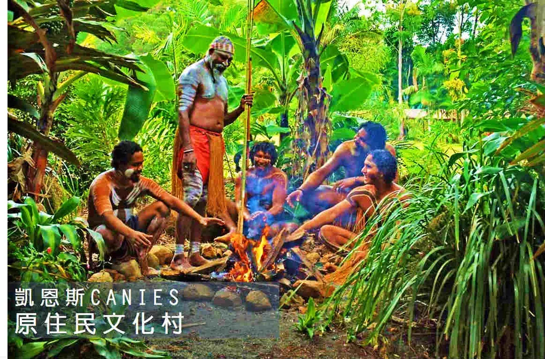 熱帶雨林探險