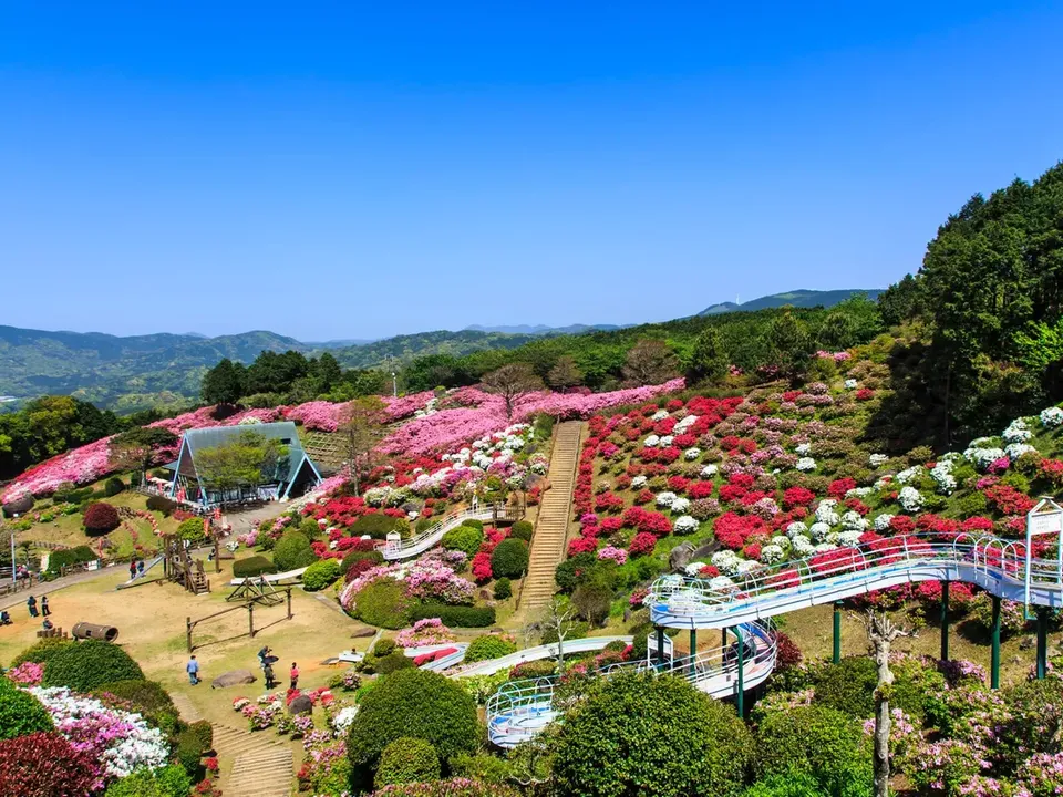 【佐世保港接送】郵輪 包車岸上觀光 -6小時|Alphard 1-6人-8