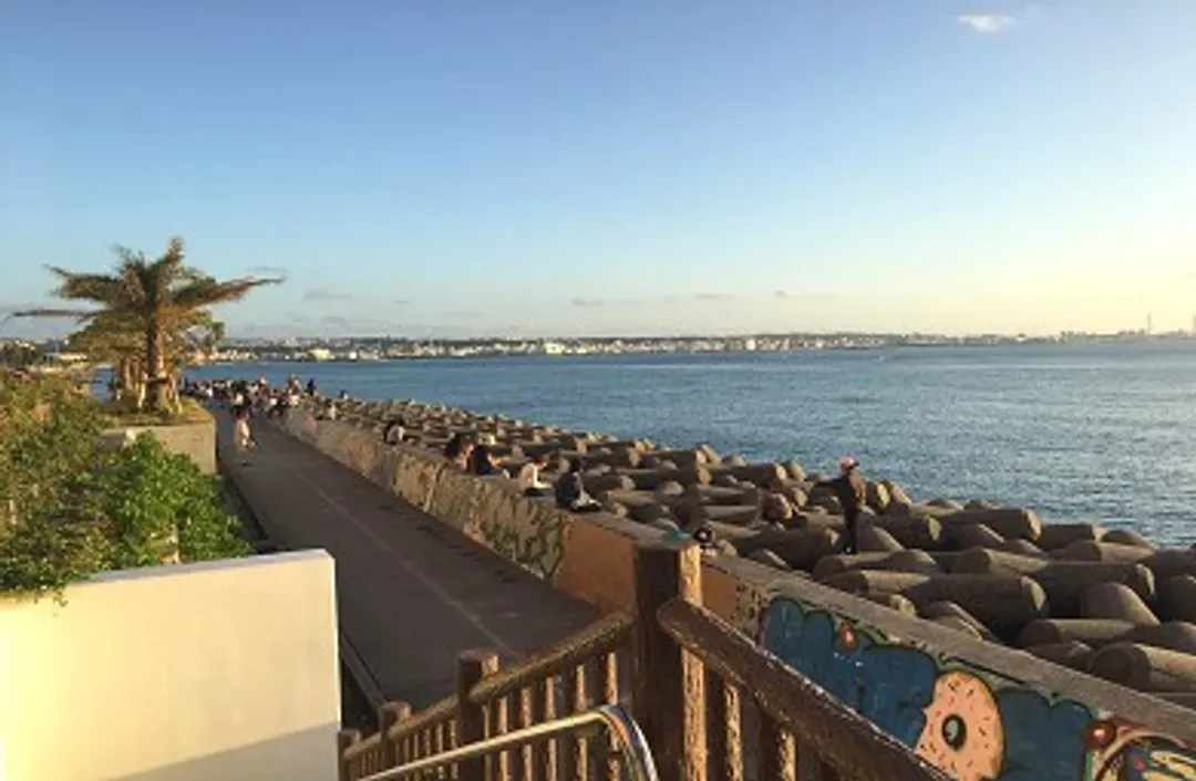 海情海