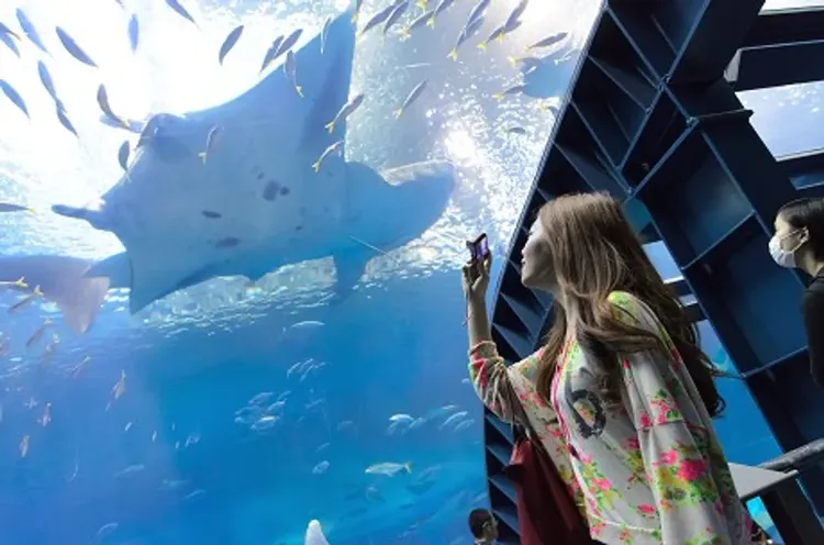 沖繩跟團,全新改版｜沖繩旅遊｜升級A級渡假飯店一晚＊古宇利塔．識民園．美國村．時尚購物．神宮祈福．燒肉暢食．美之海博物館四日